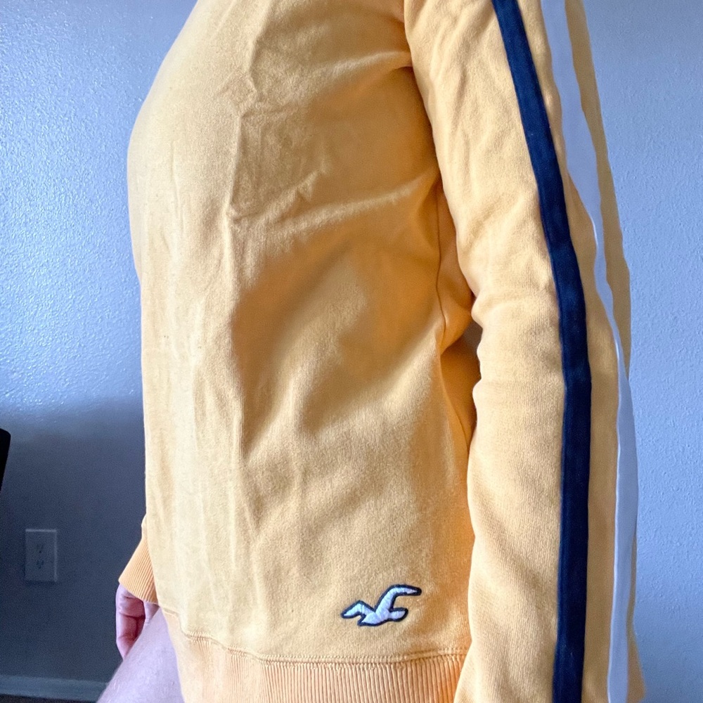 Hollister Sweater
